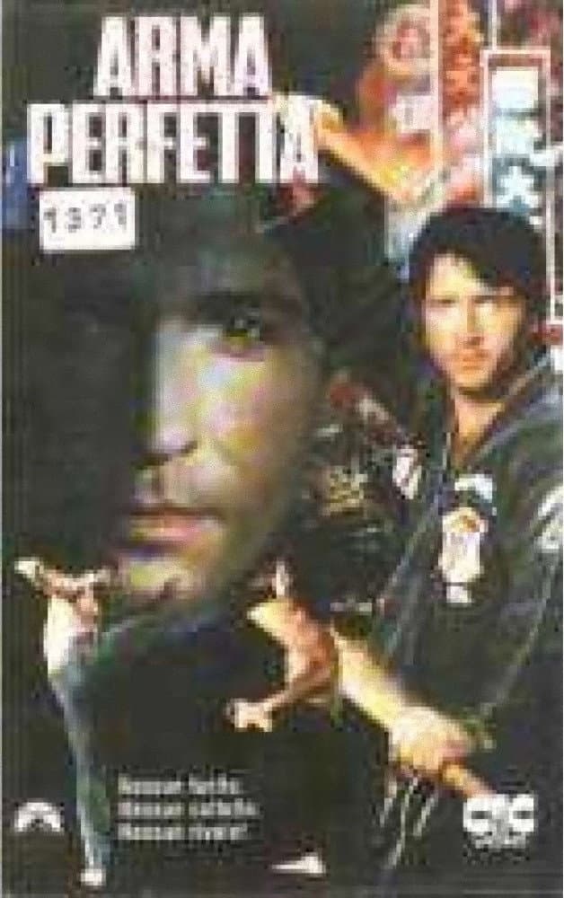Poster di Arma perfetta