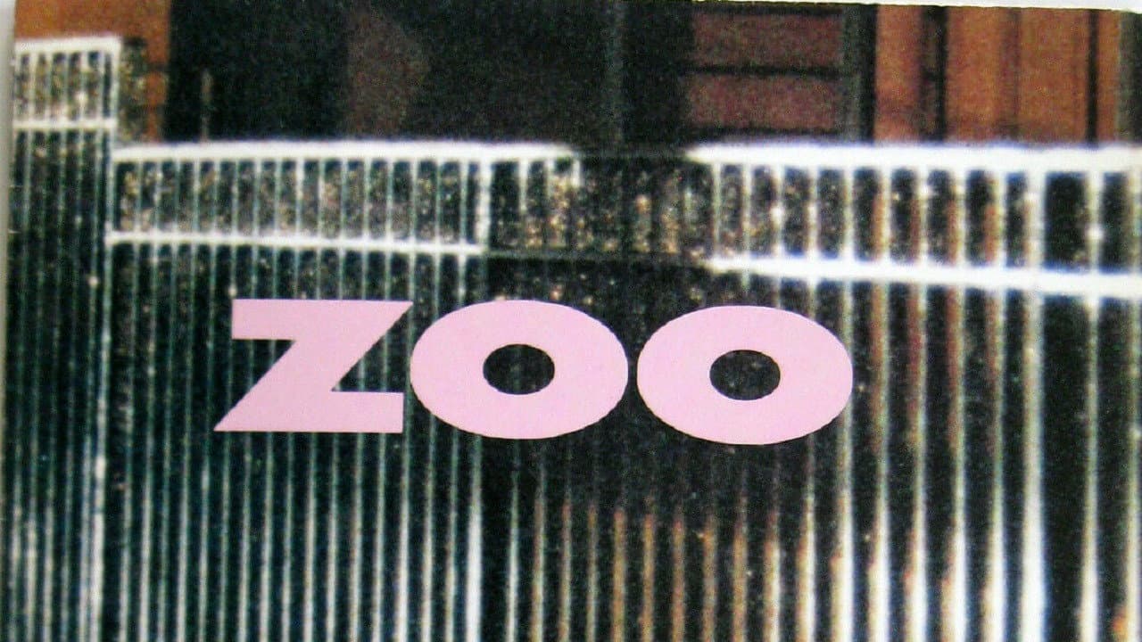 Zoo - immagine