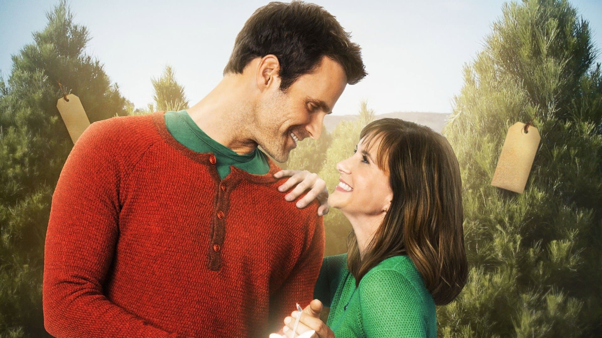 The Christmas Ornament - immagine