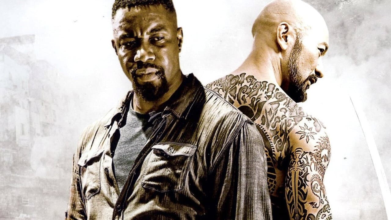 Falcon Rising - immagine