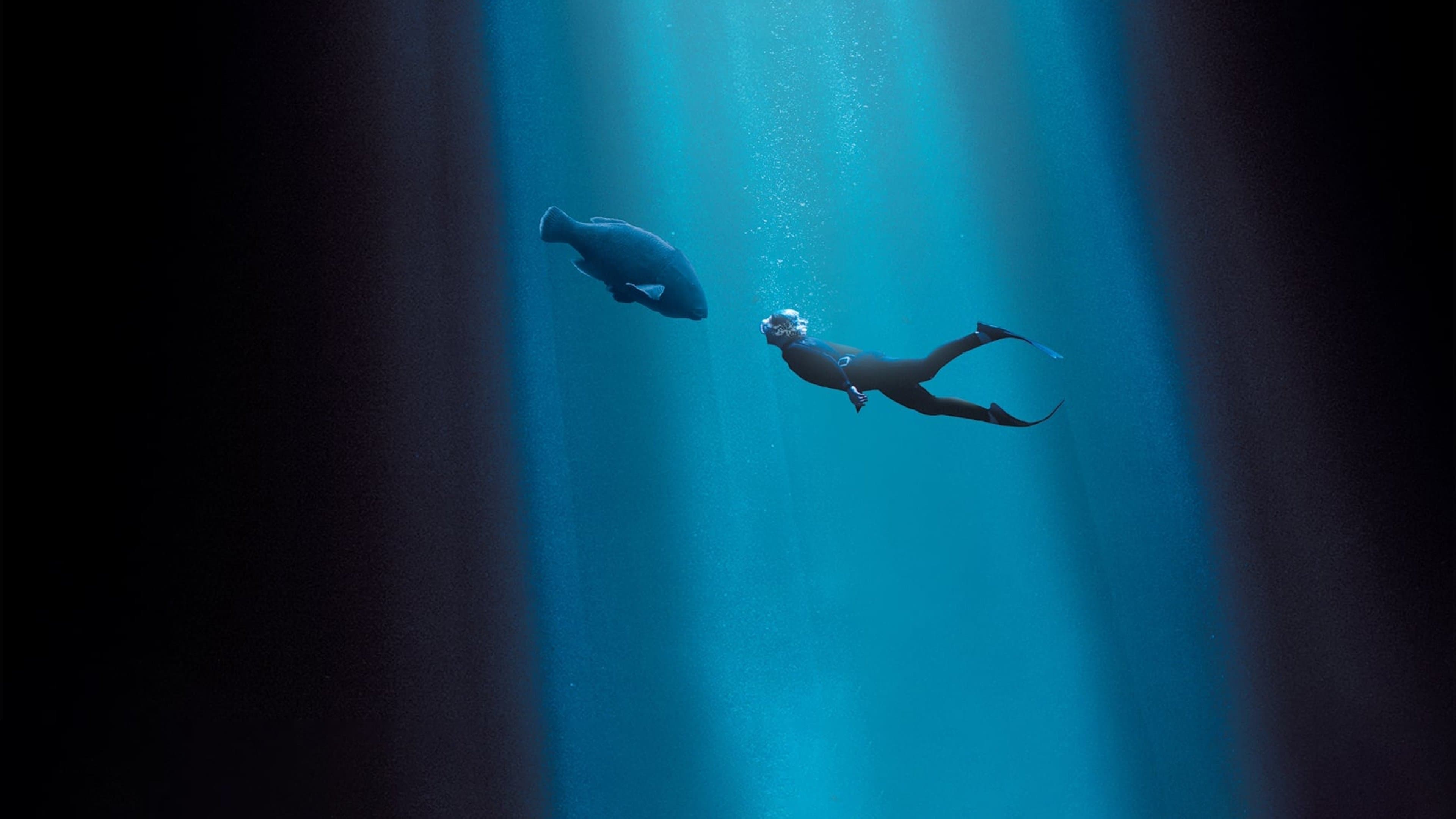 Blueback - immagine