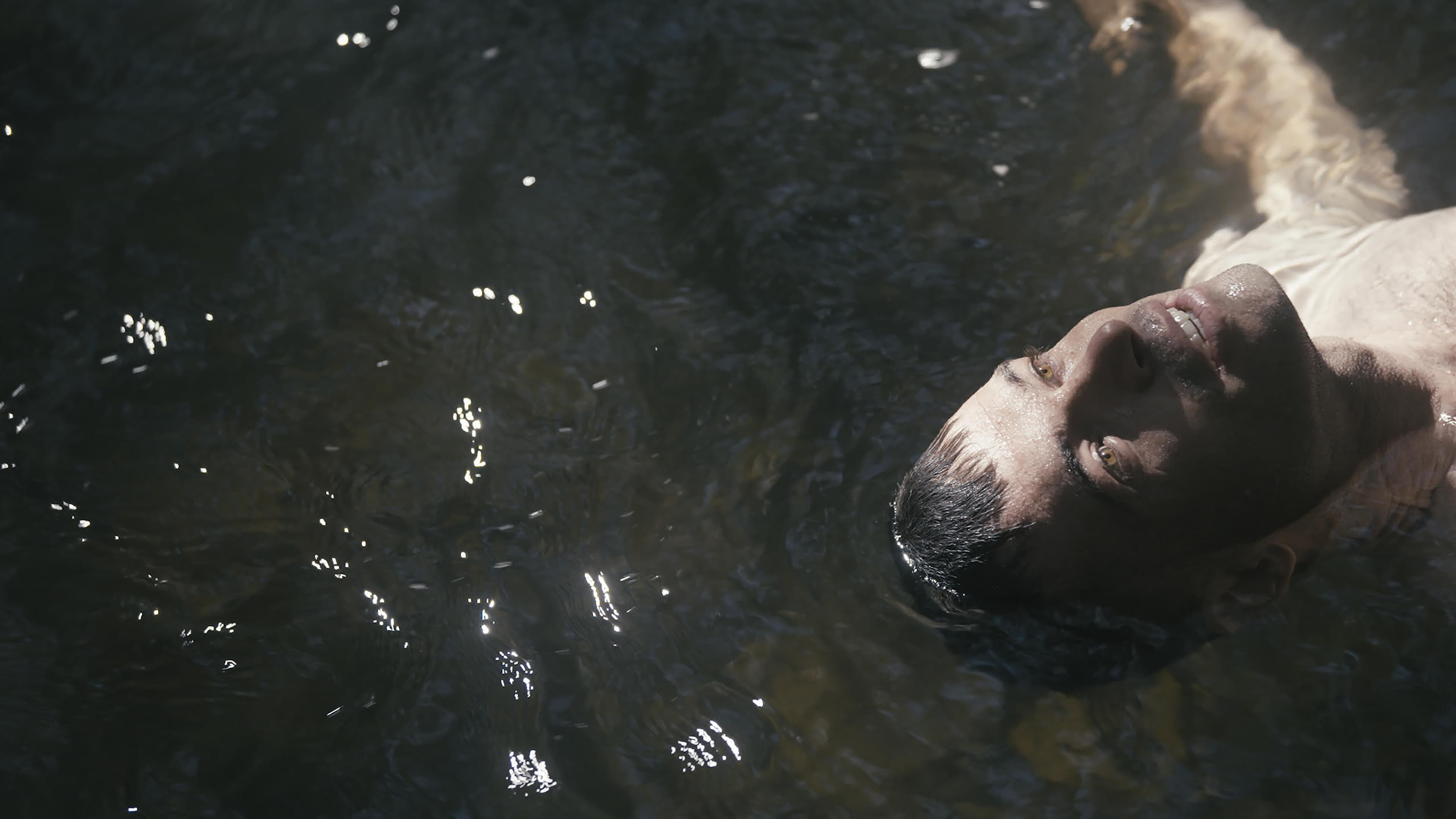 The Lake - immagine
