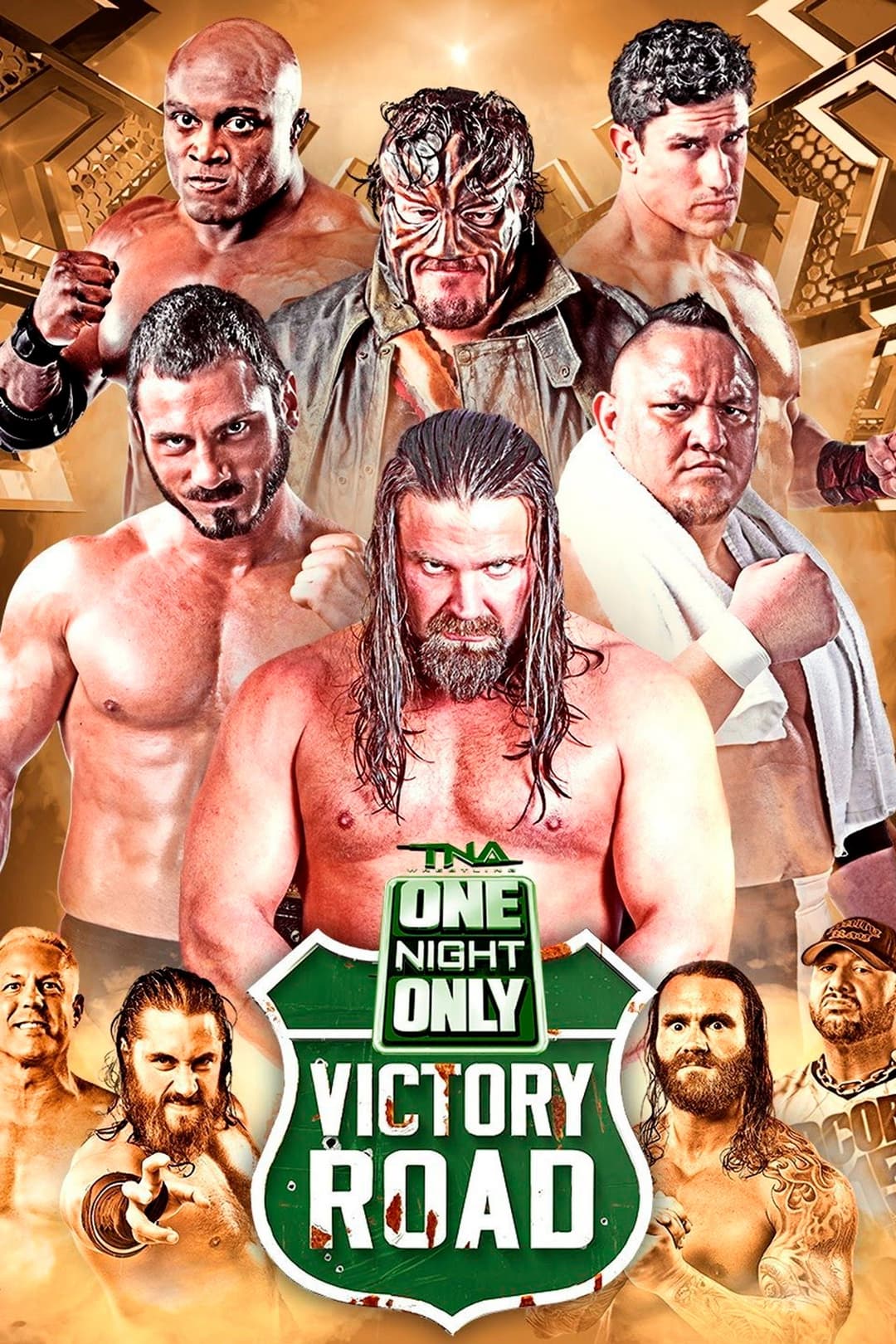 Poster di TNA One Night Only: Victory Road 2014