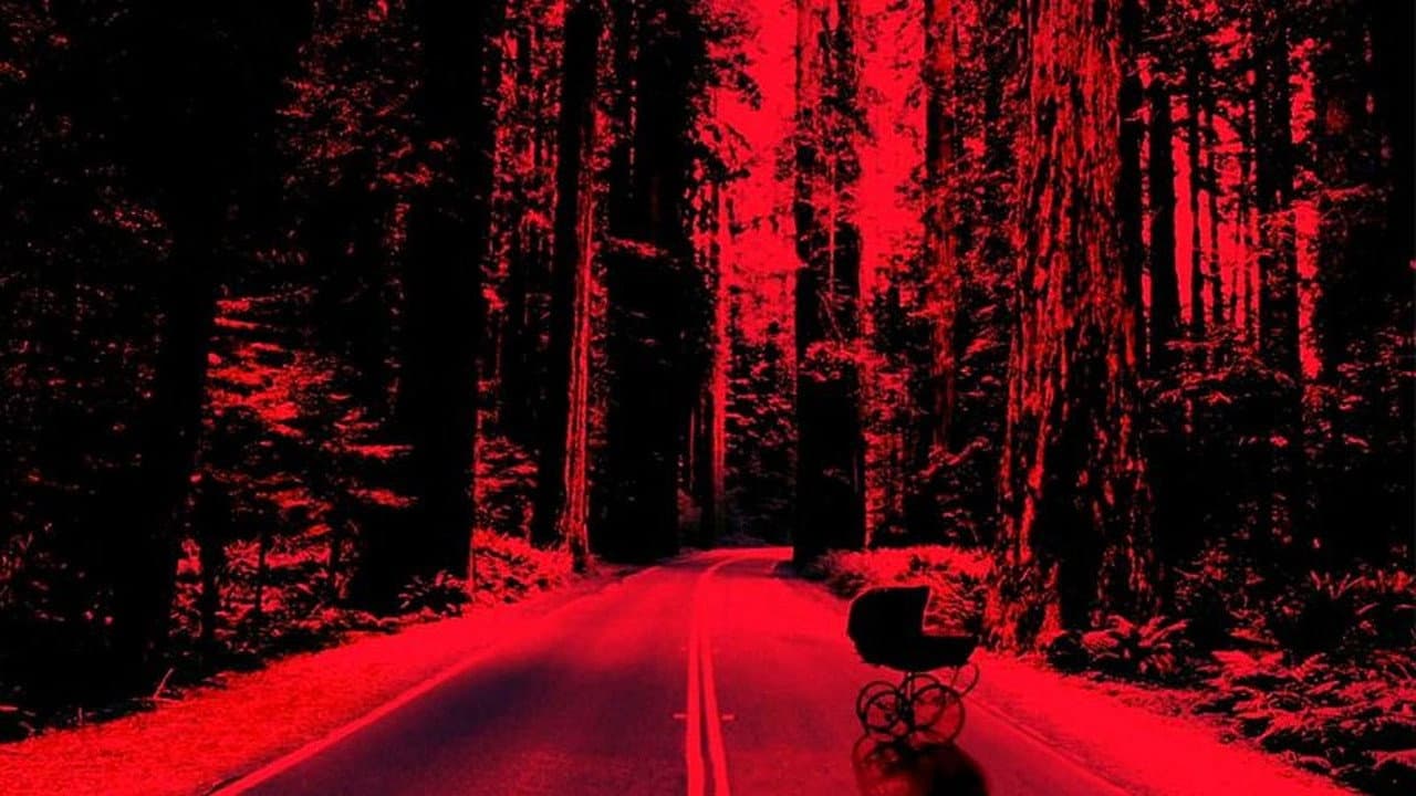 Dead End - Quella strada nel bosco - immagine