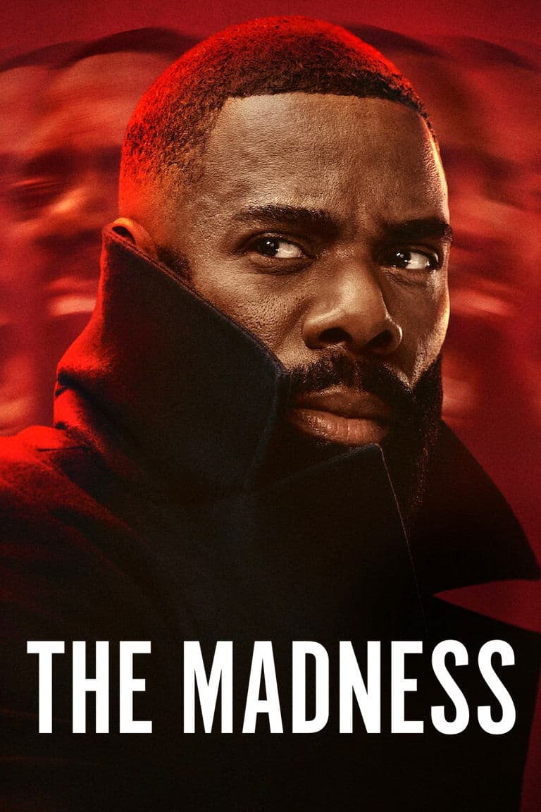 Poster di The Madness
