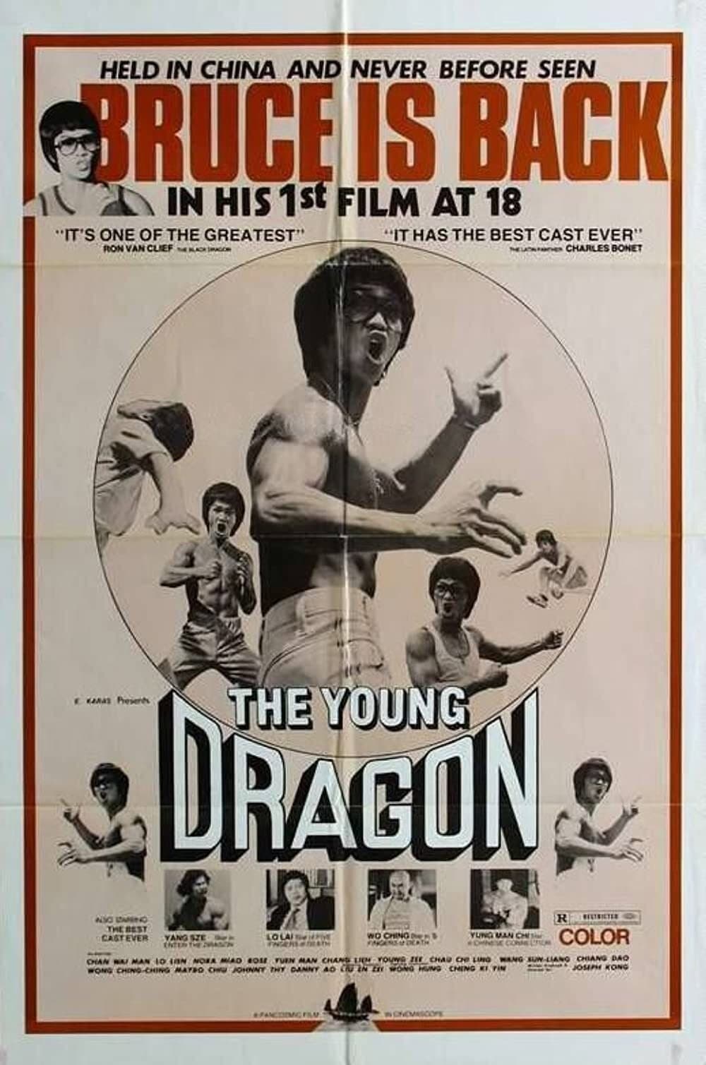 Poster di Young Dragon
