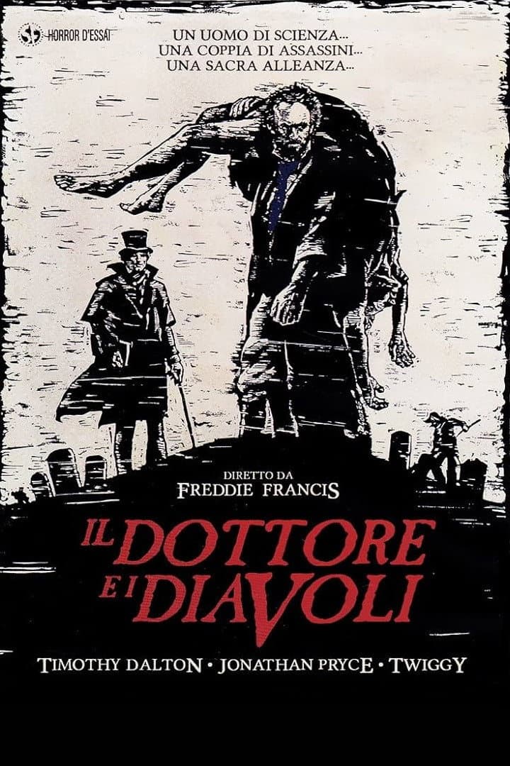 Poster di Il dottore e i diavoli