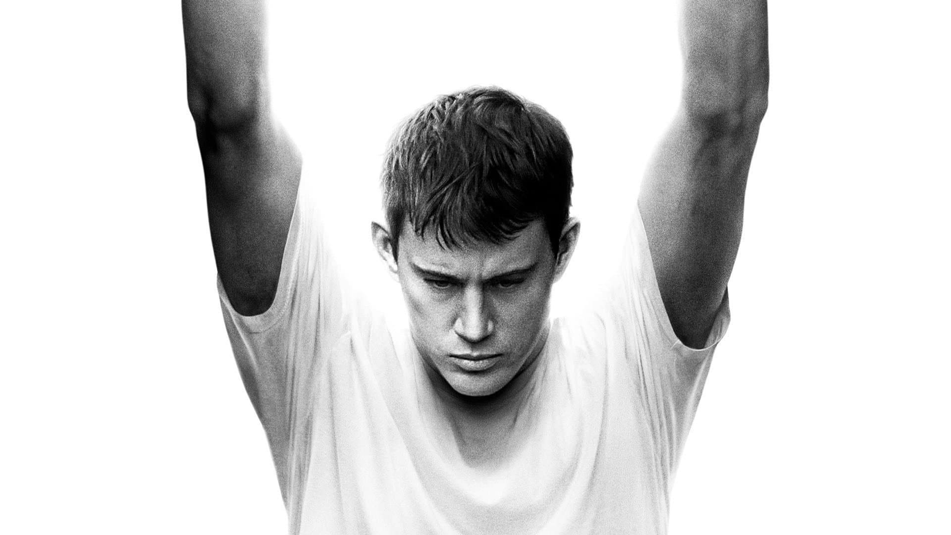 Fighting - immagine
