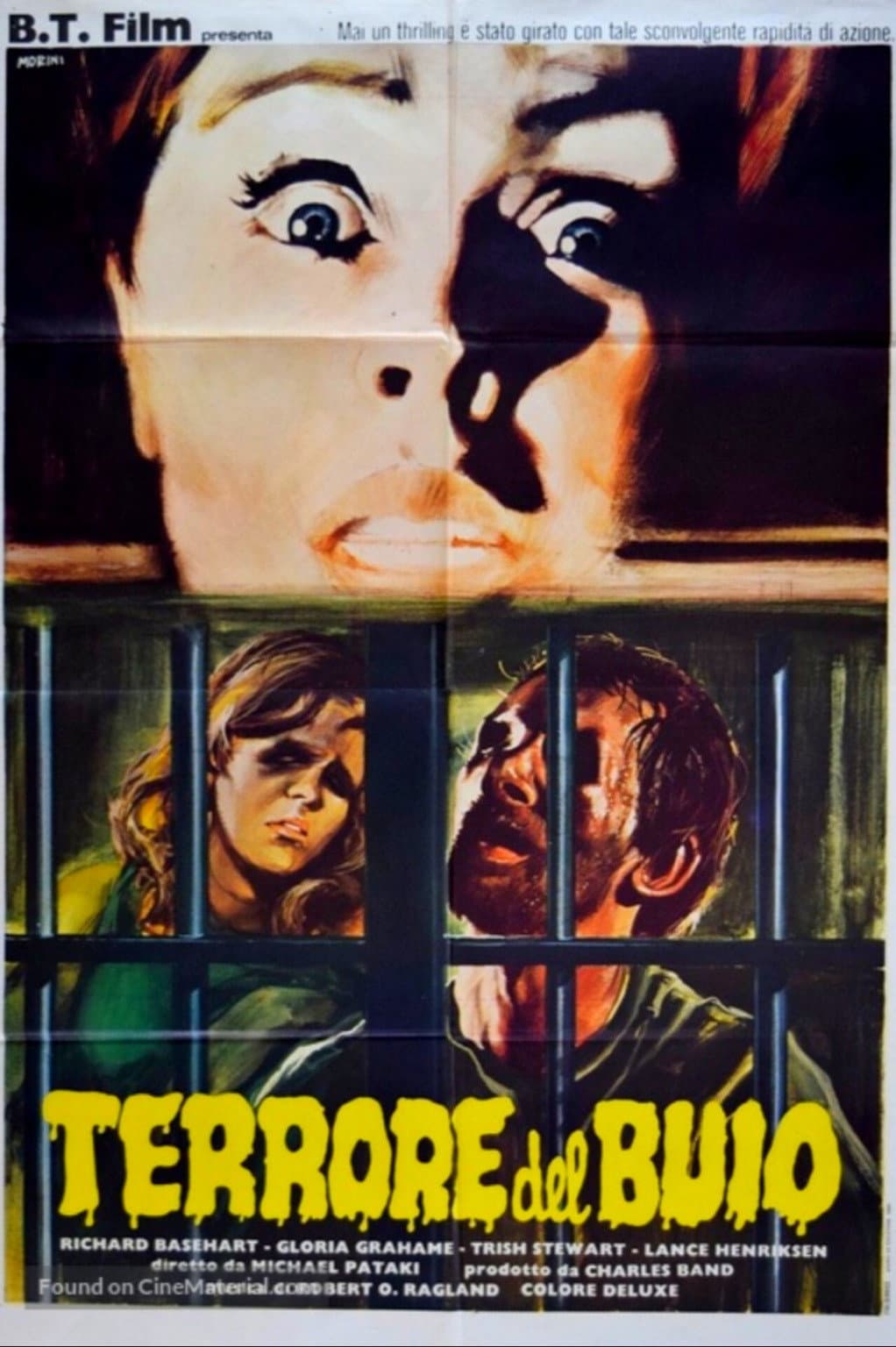 Poster di Terrore nel buio
