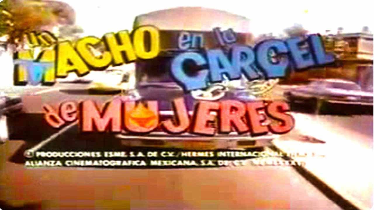 Un macho en la cárcel de mujeres - immagine