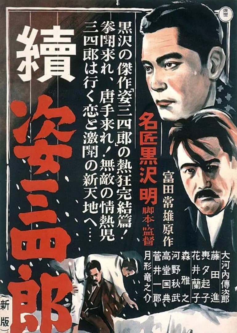 Poster di 唐手三四郎