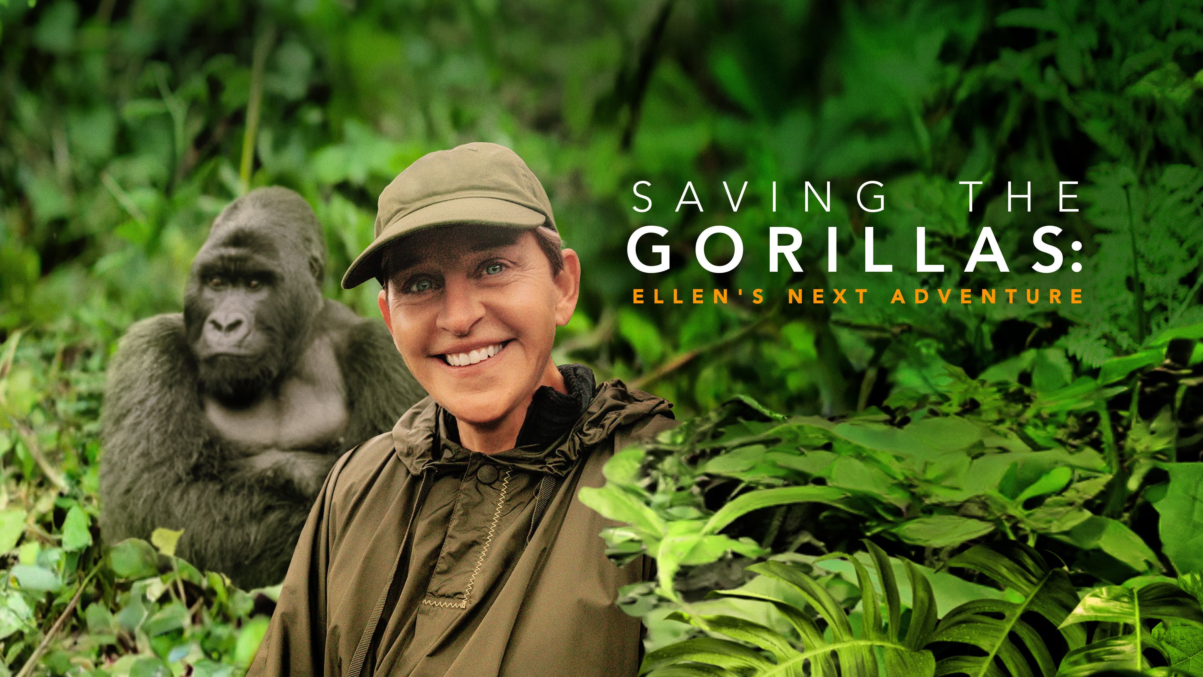 Saving the Gorillas: Ellen's Next Adventure - immagine