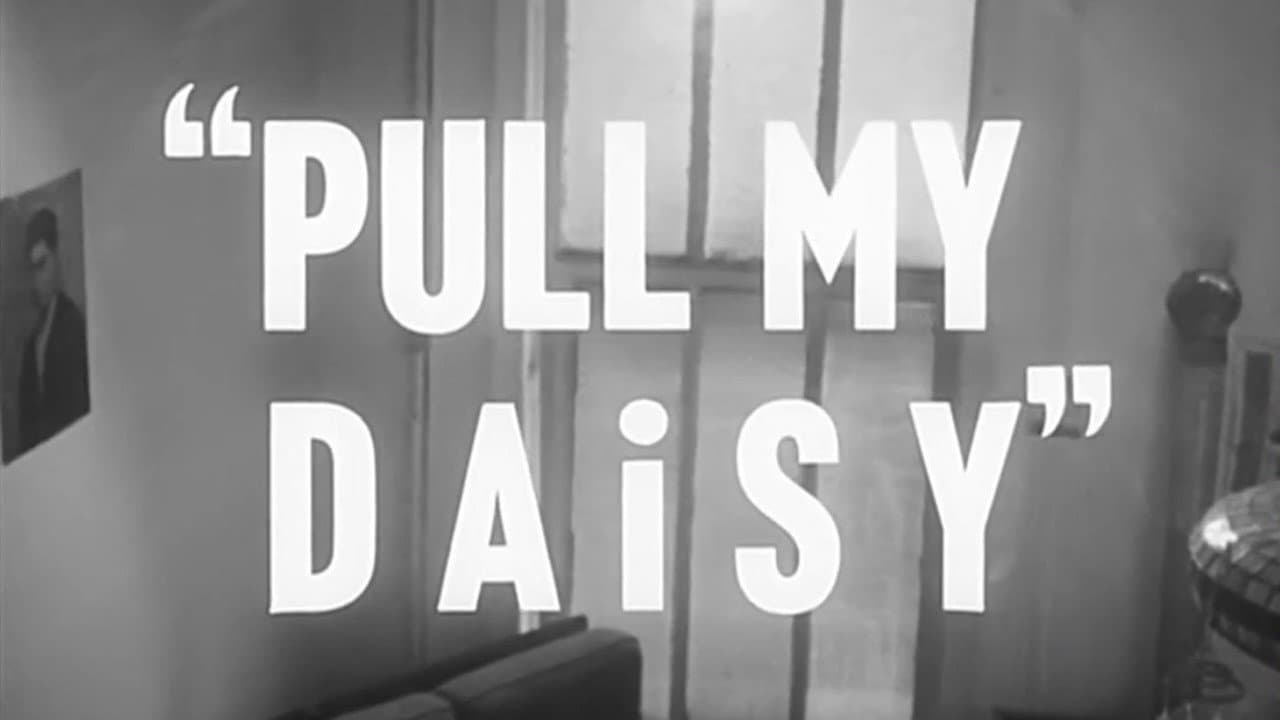 Pull My Daisy - immagine