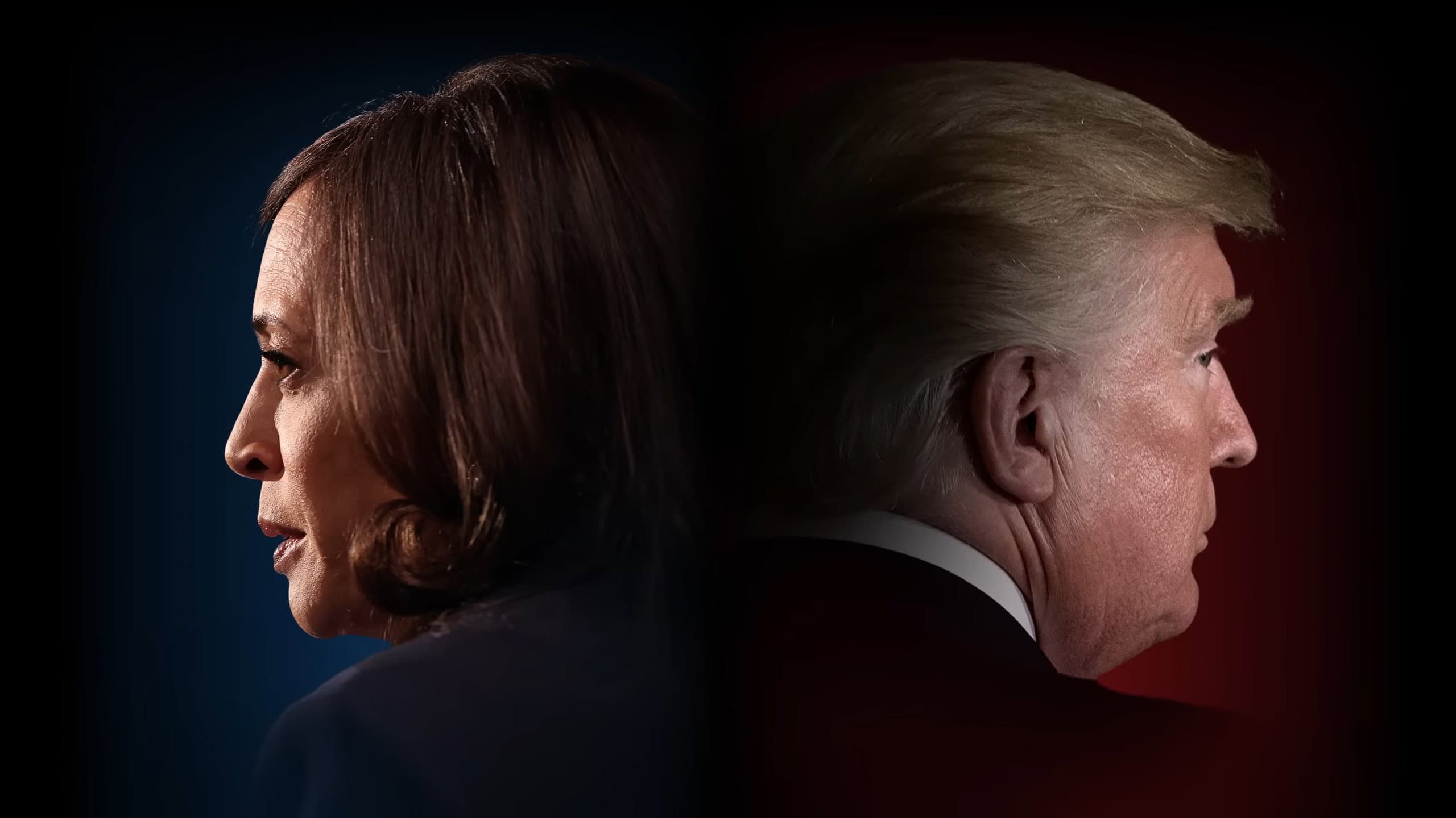 The Choice 2024: Harris vs. Trump - immagine