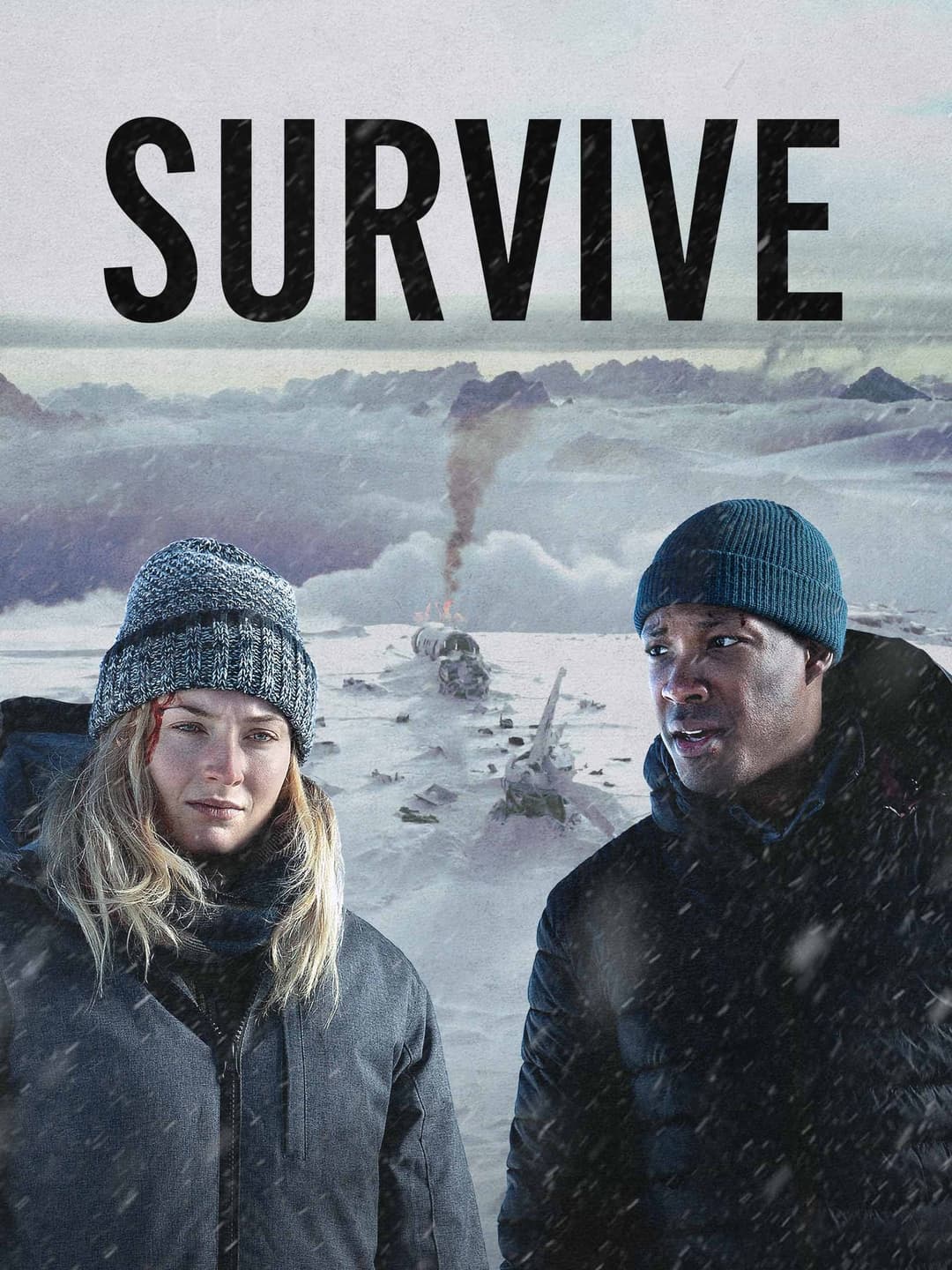 Poster di Survive