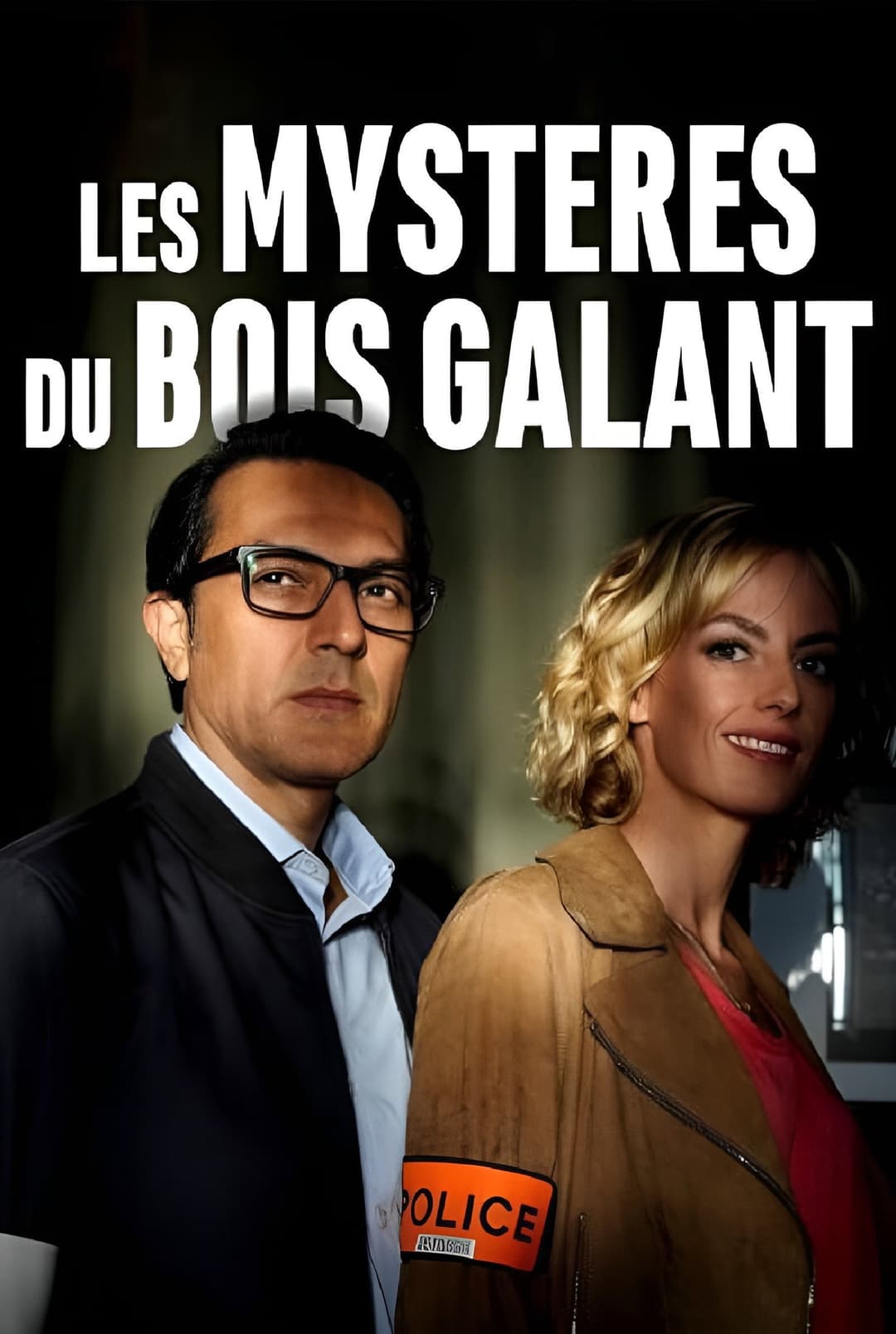 Poster di Les Mystères du Bois Galant