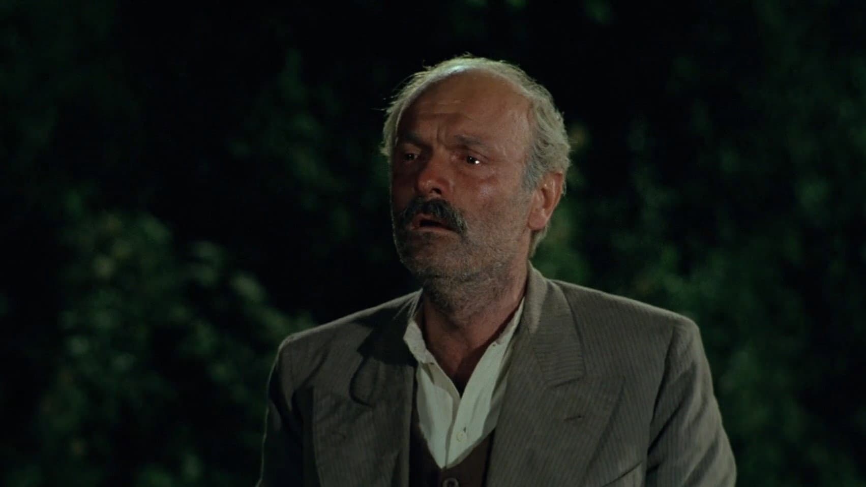 La notte di San Lorenzo - immagine