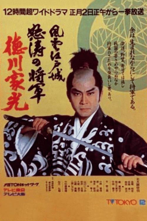 Poster di 風雲江戸城 怒涛の将軍徳川家光
