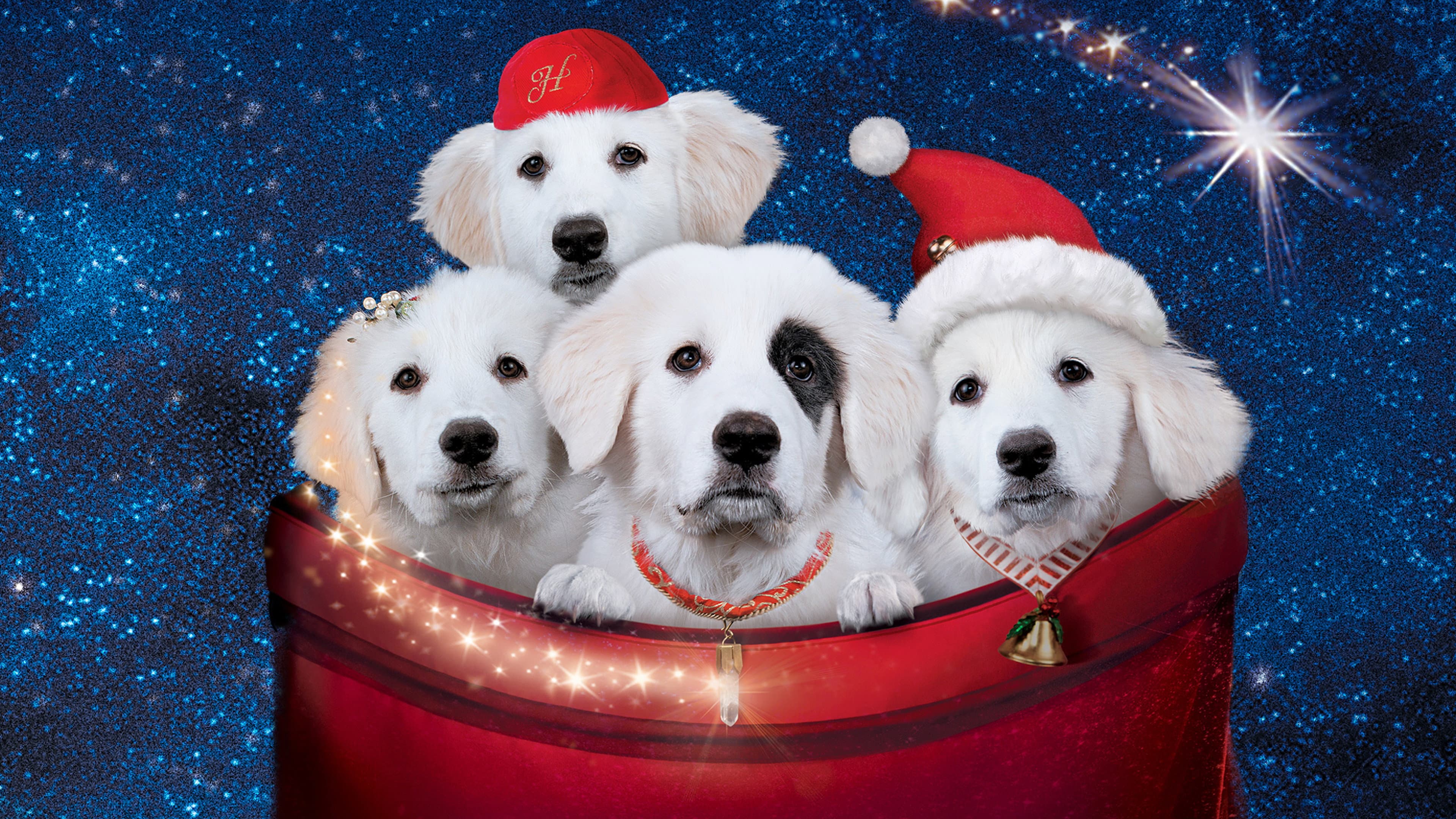 Zampa 2 - I cuccioli di Natale - immagine