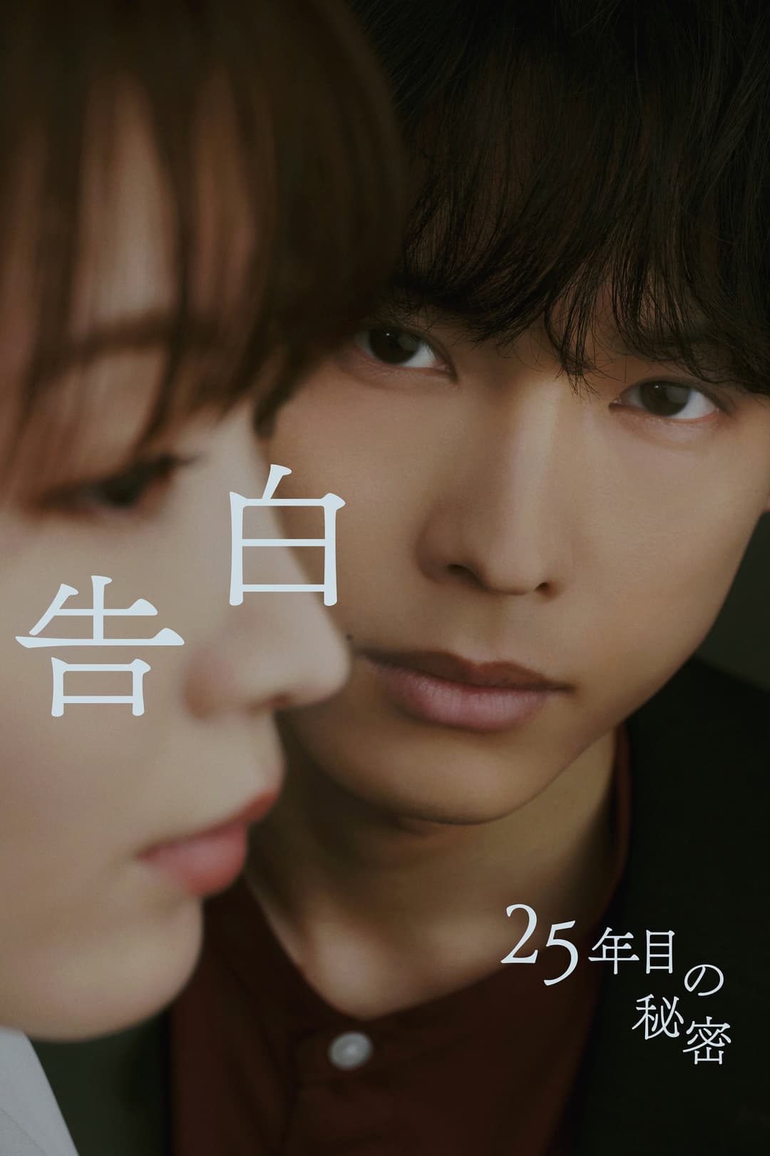 Poster di 25 Years of You