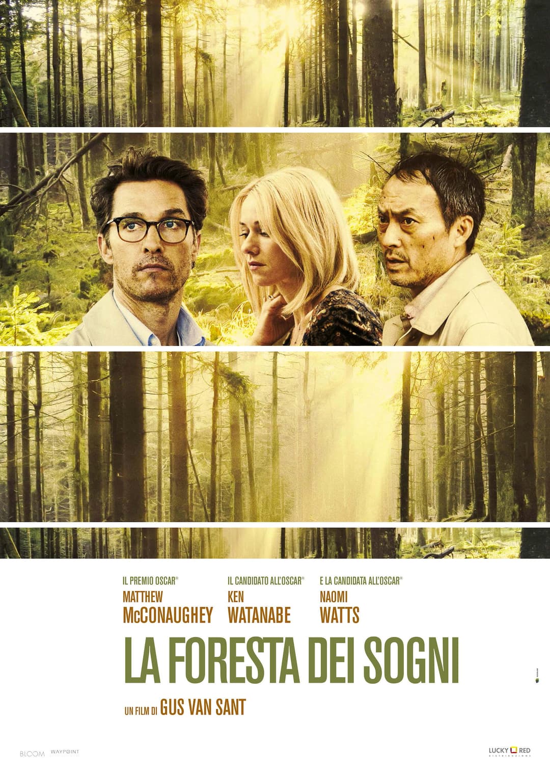 Poster di La foresta dei sogni
