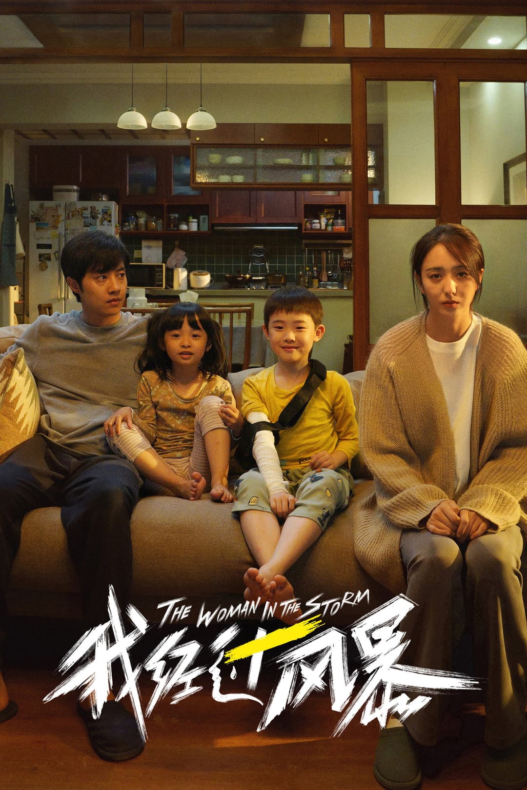 Poster di 我经过风暴