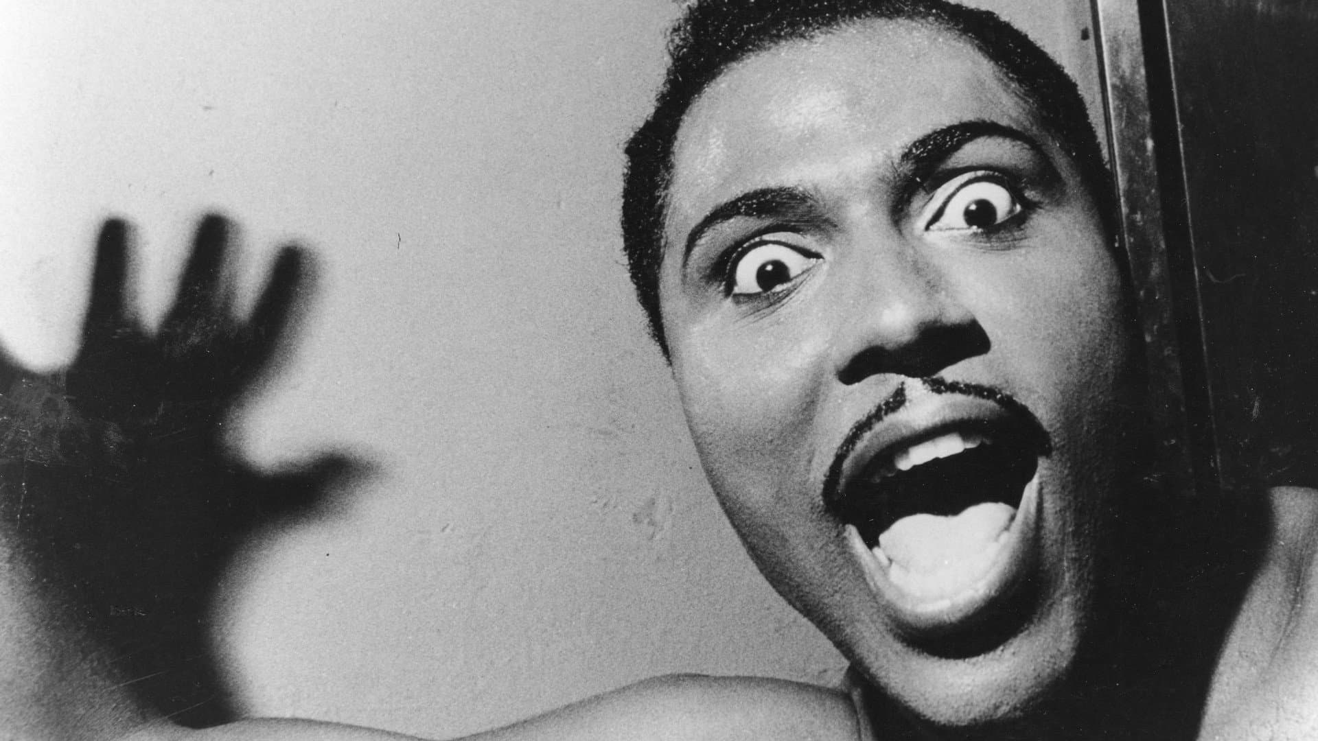 Little Richard: I Am Everything - immagine