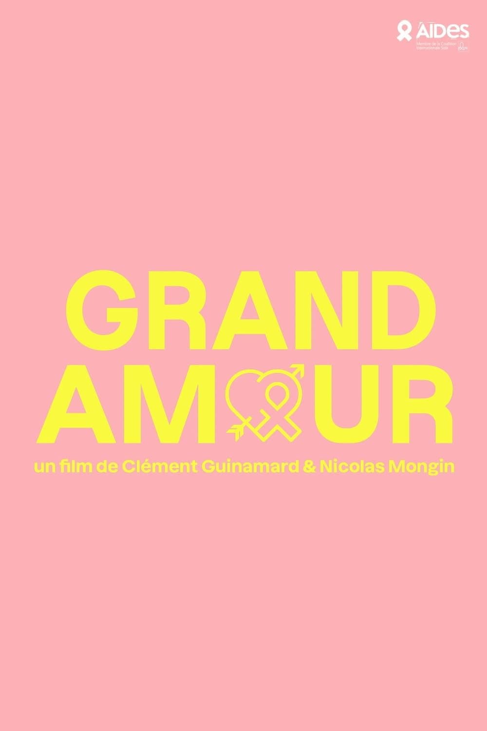 Poster di Grand amour