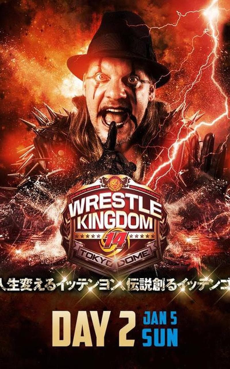 Poster di NJPW Wrestle Kingdom 14: Night 2