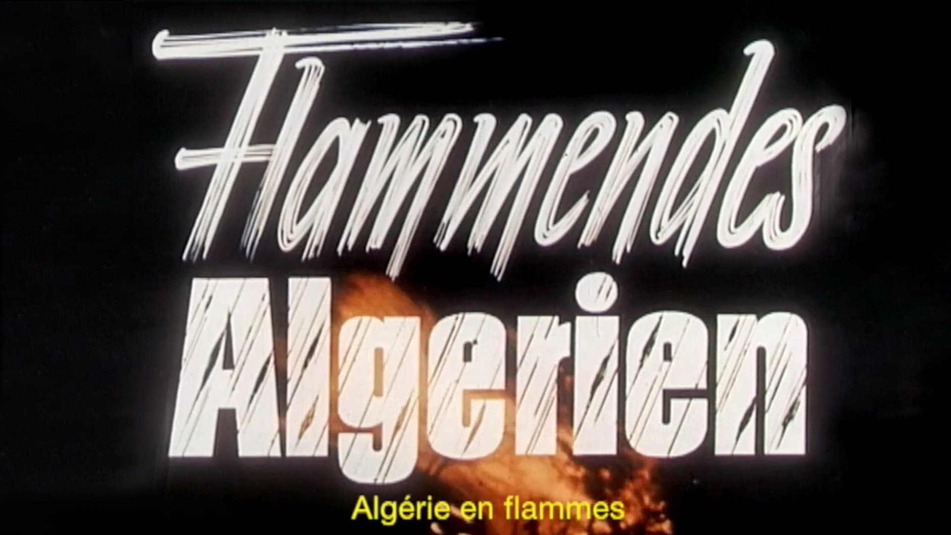 Algérie en flammes - immagine