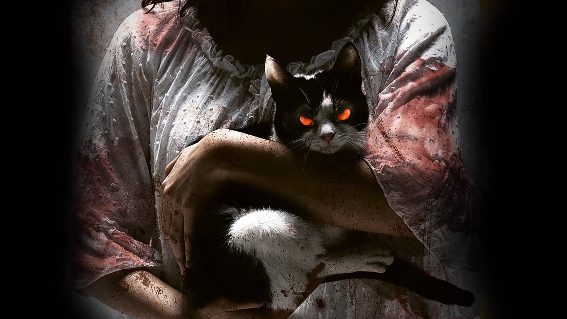 고양이: 죽음을 보는 두 개의 눈 - immagine