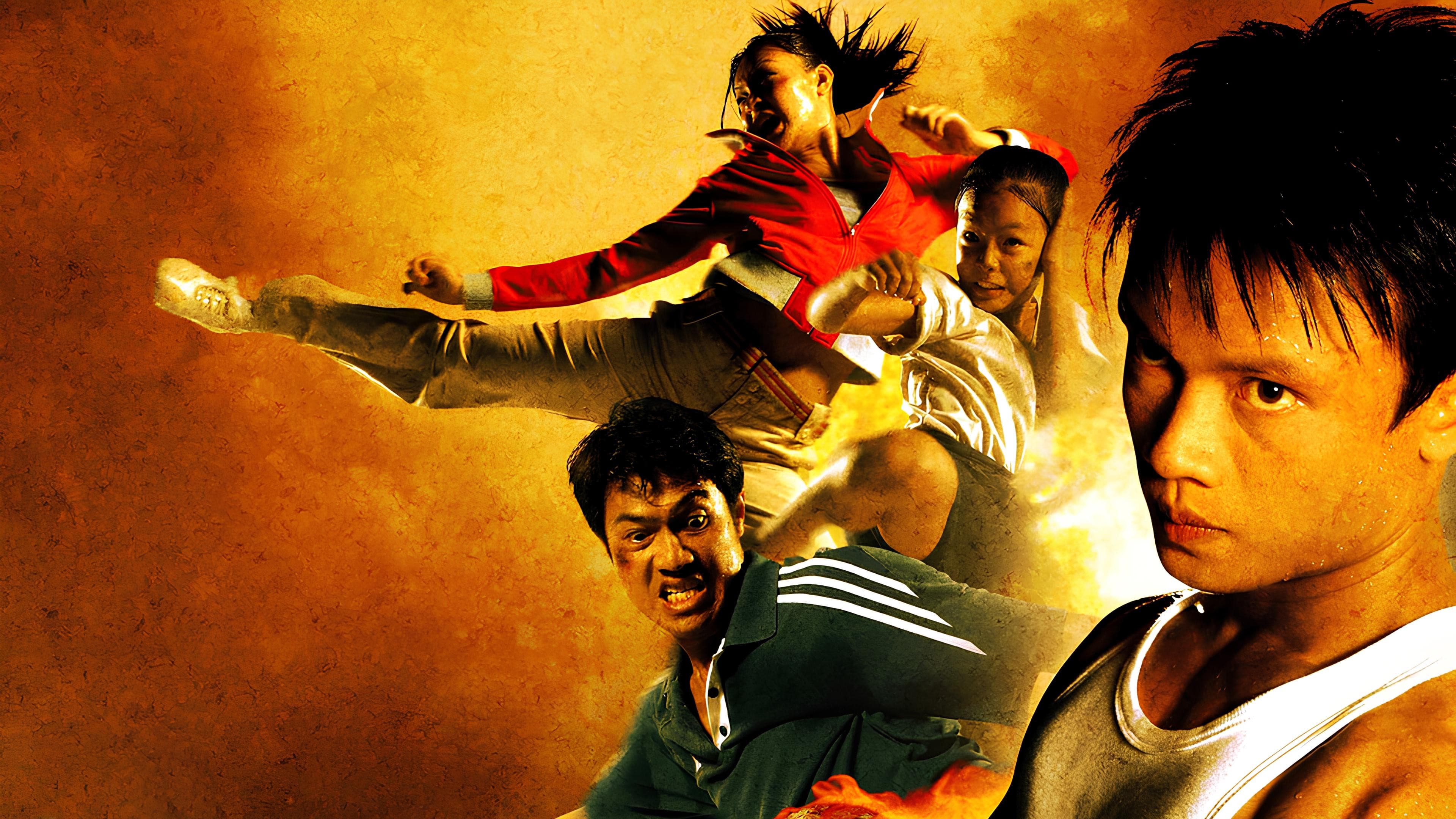Born to fight - Nati per combattere - immagine
