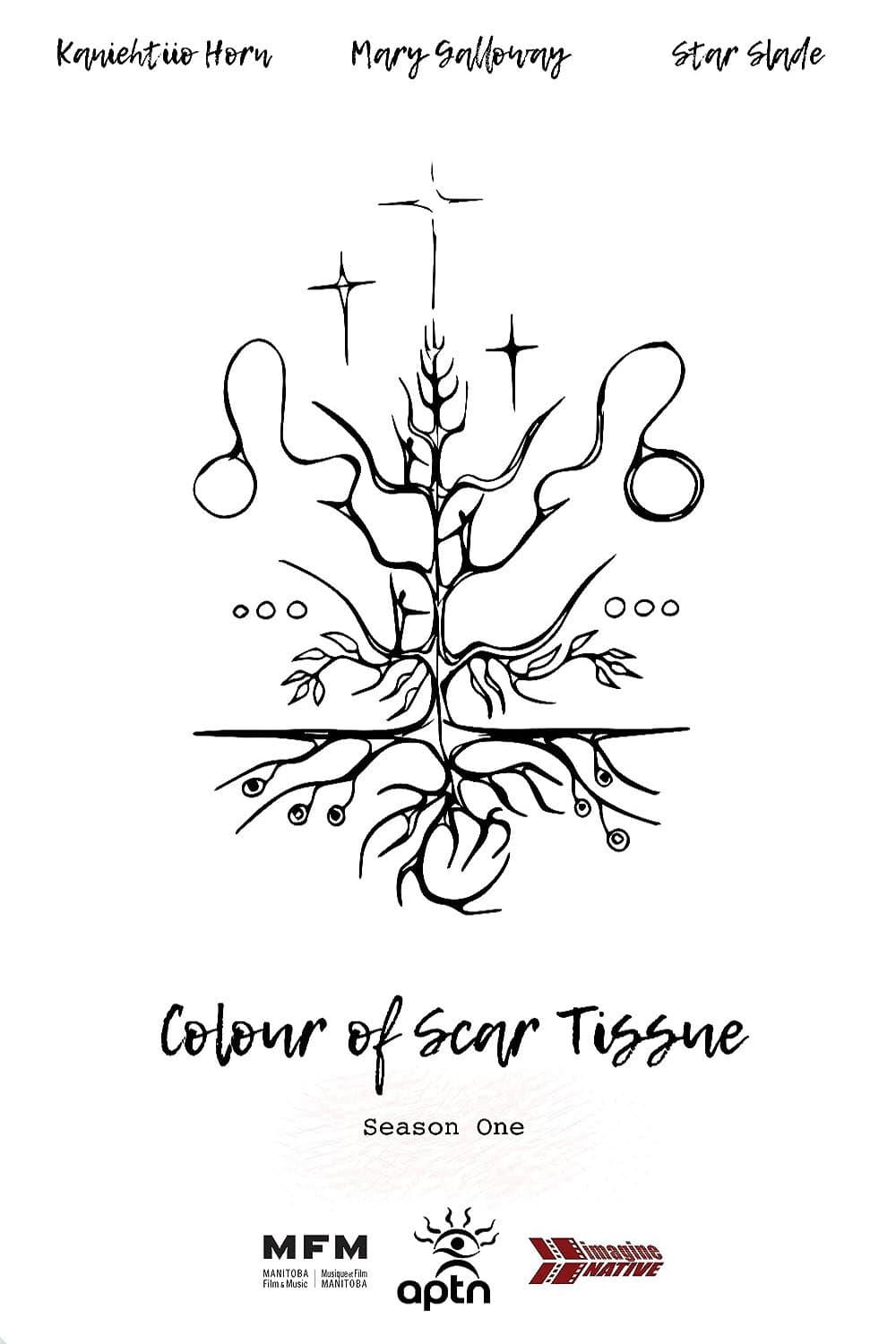 Poster di Colour of Scar Tissue