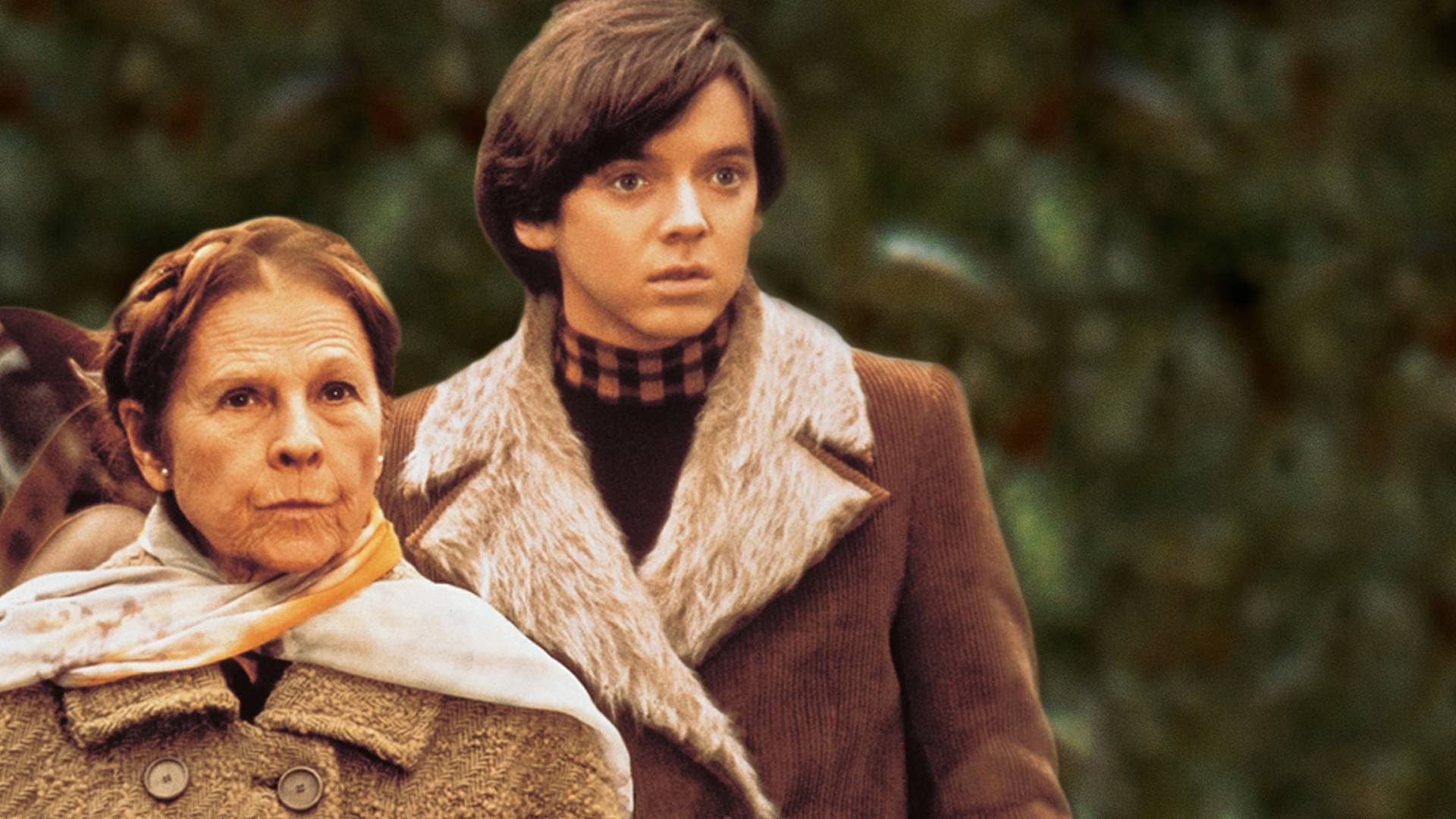 Harold e Maude - immagine