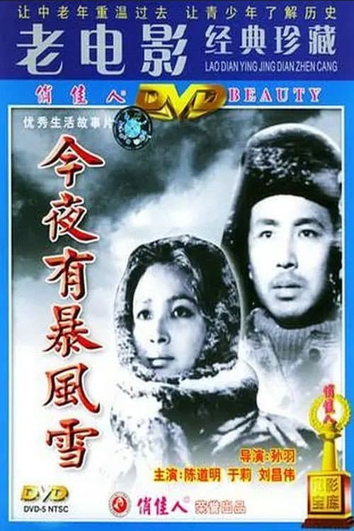 Poster di 今夜有暴风雪