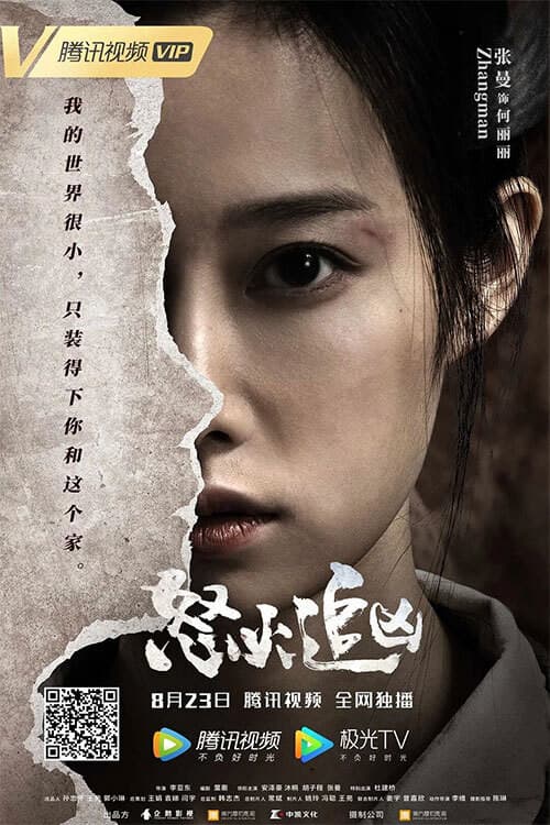 Poster di 怒火追凶