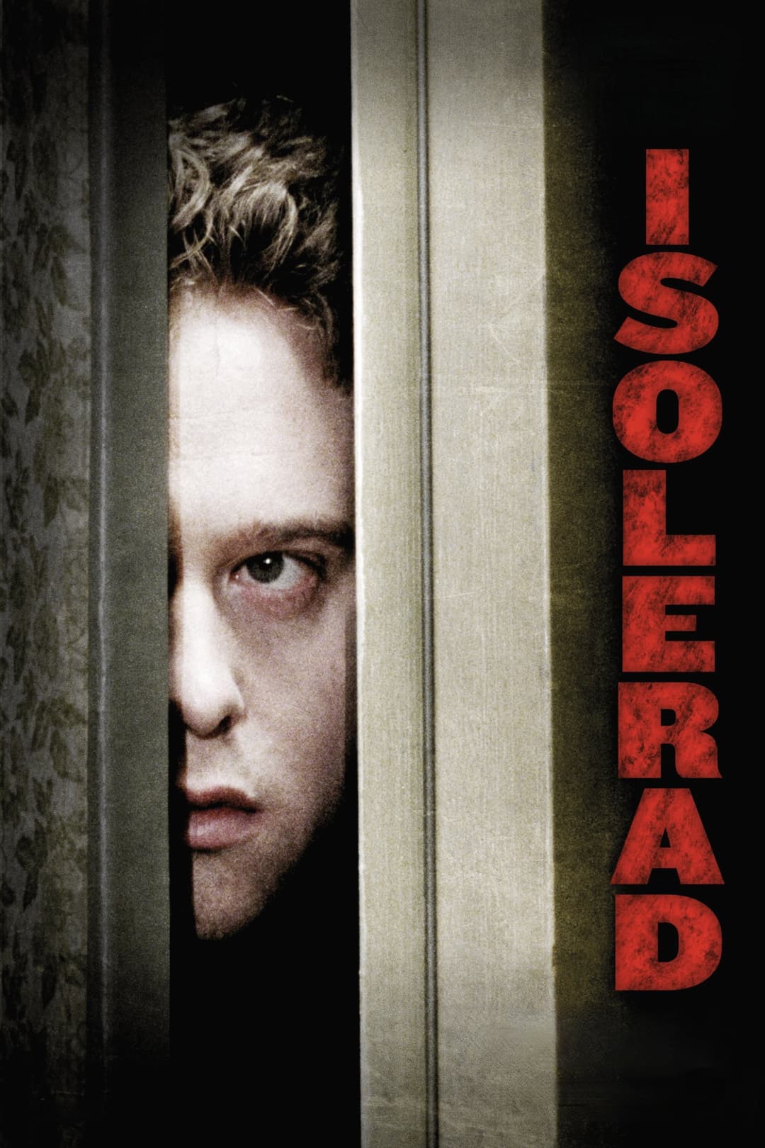 Poster di Il corridoio del terrore