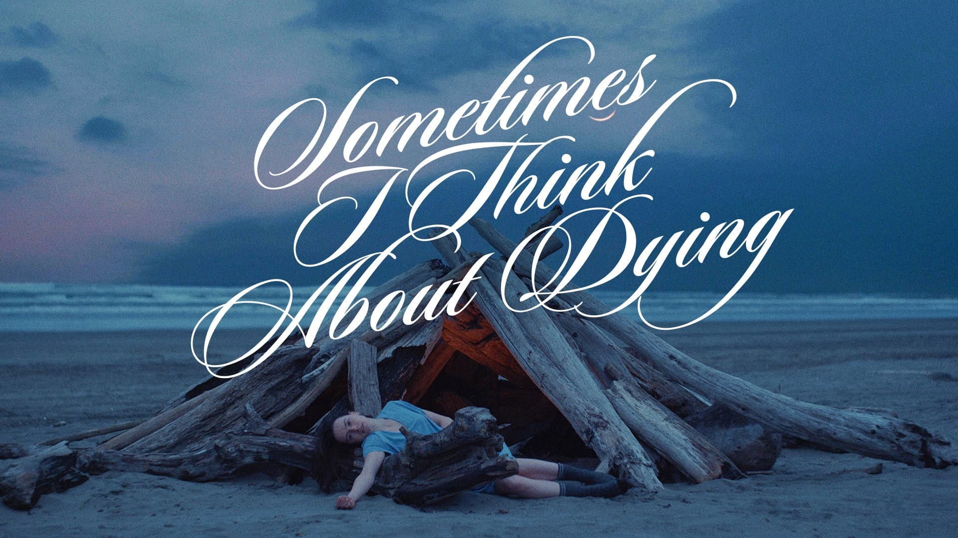 Sometimes I Think About Dying - immagine
