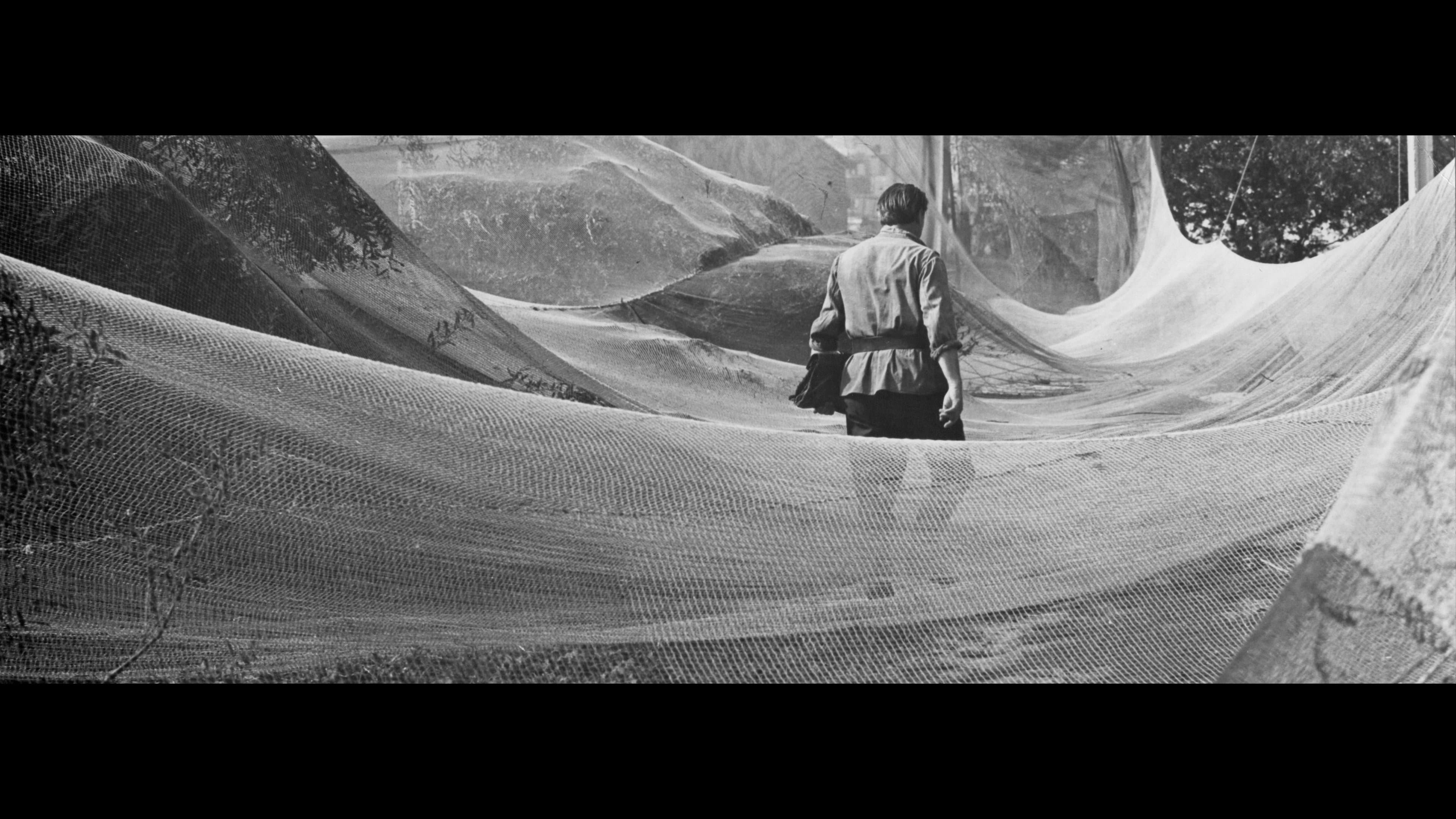Birželis, vasaros pradžia - immagine