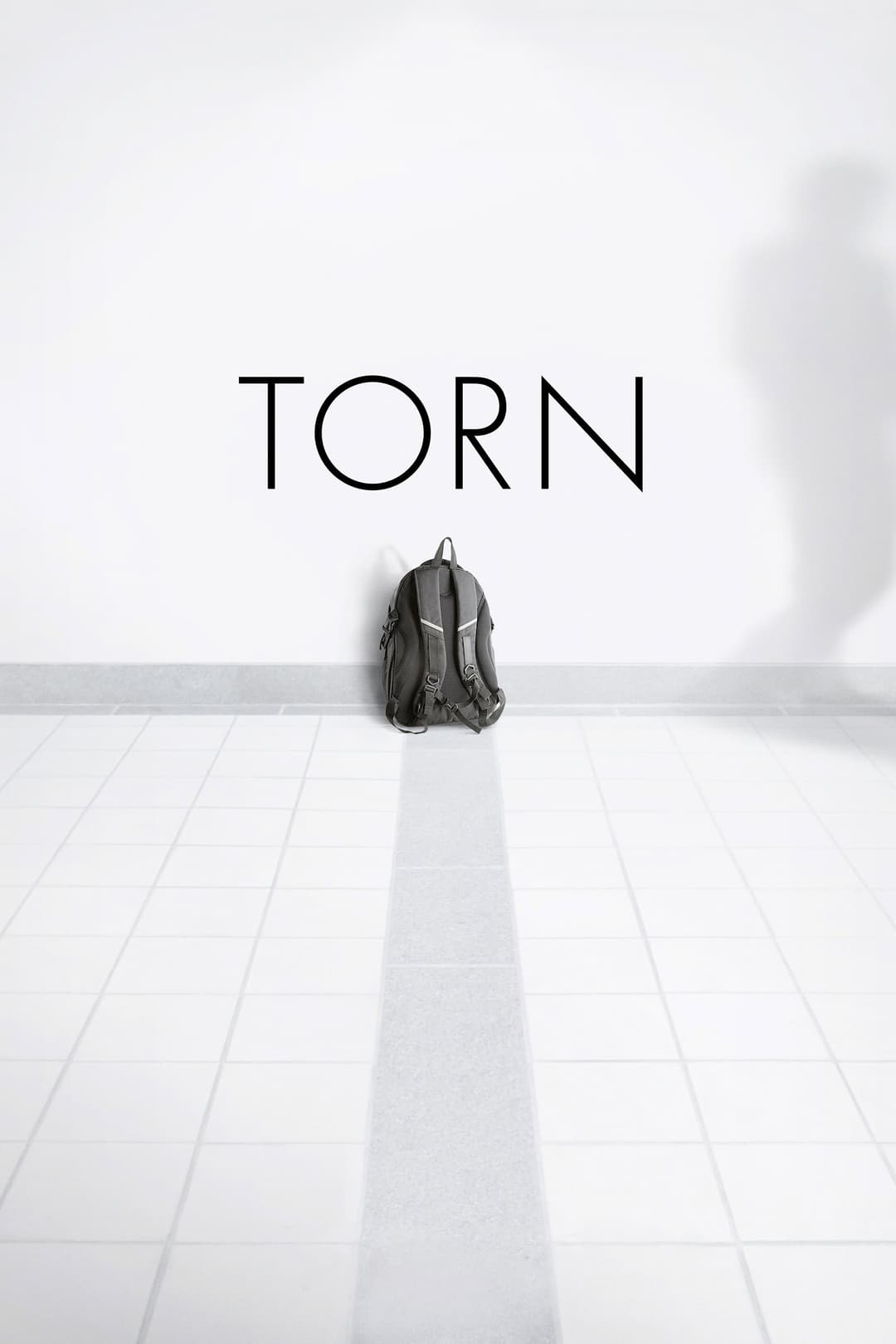 Poster di Torn
