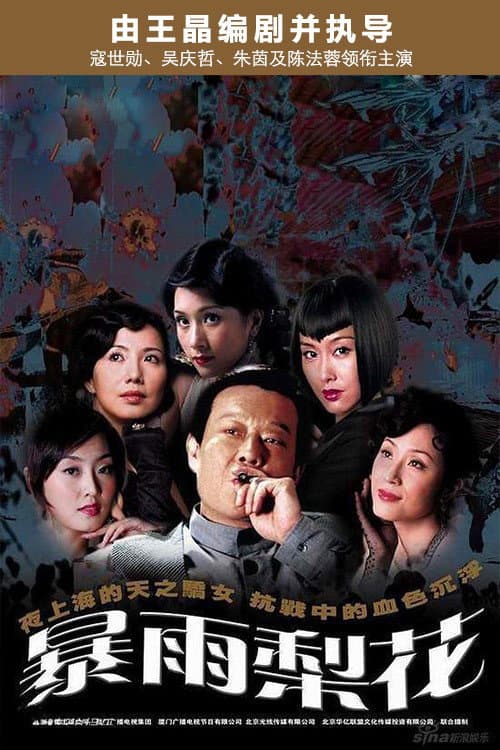 Poster di 暴雨梨花