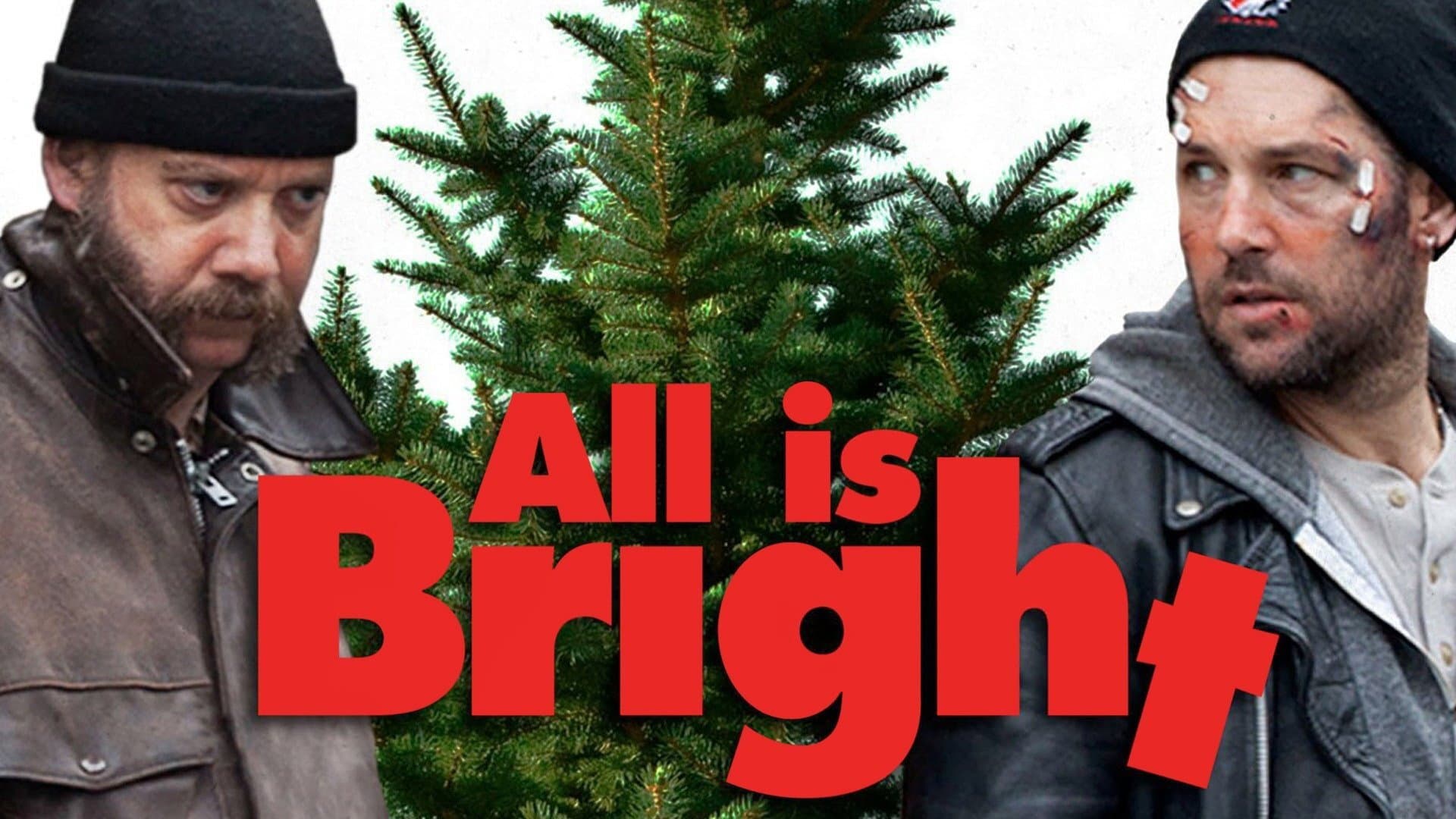All Is Bright - immagine