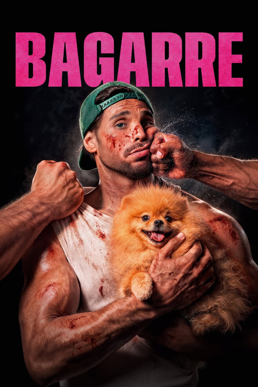 Poster di Bagarre