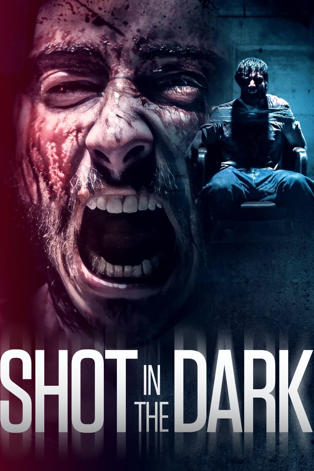 Poster di Shot in the Dark