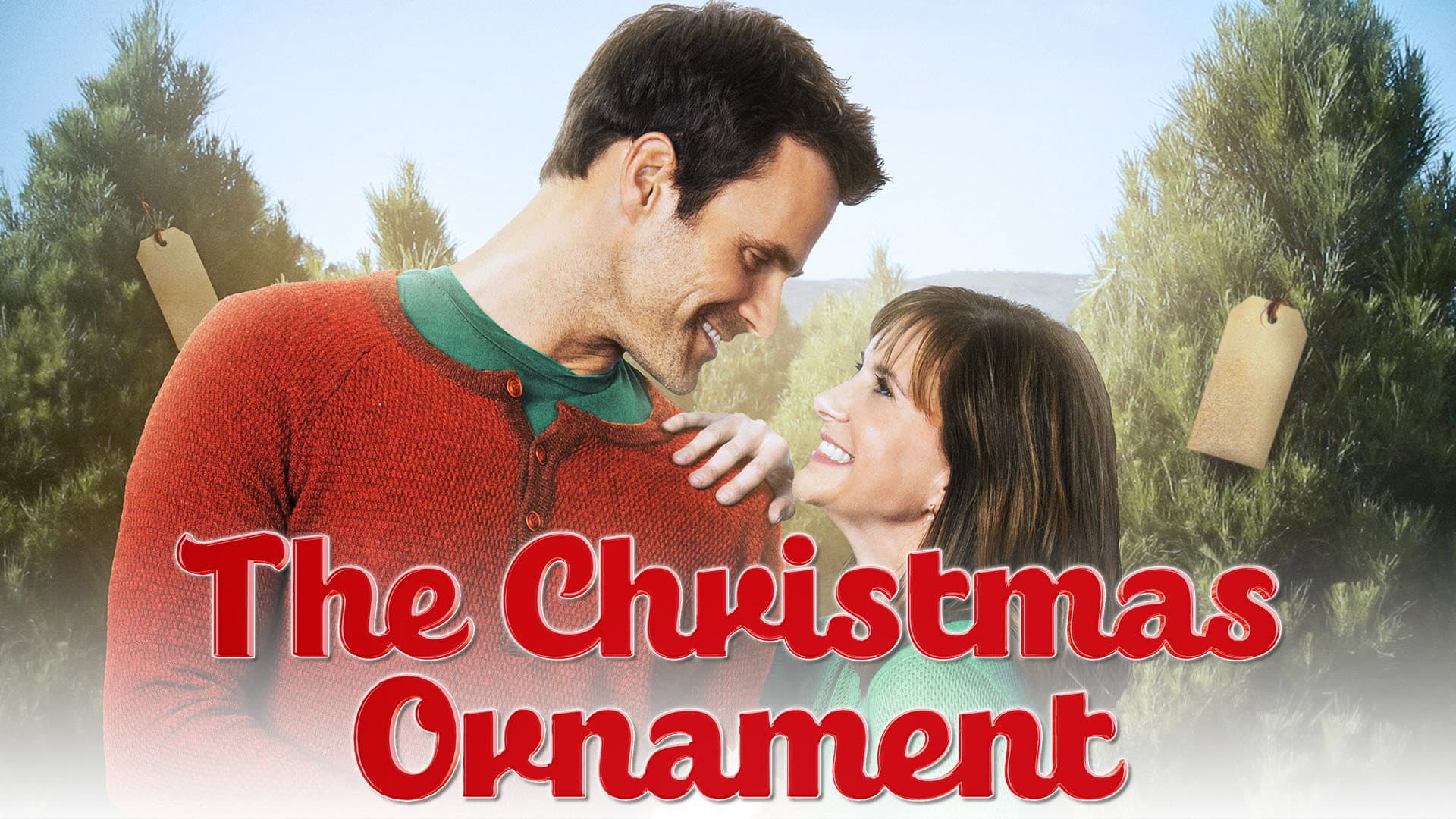 The Christmas Ornament - immagine