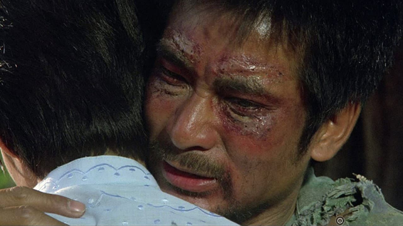 Heroes Shed No Tears - immagine