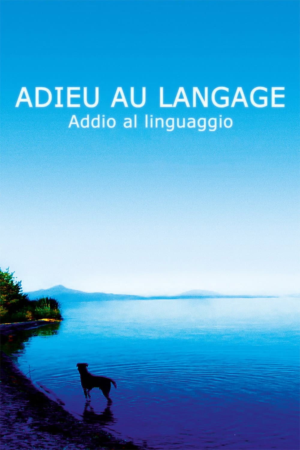 Poster di Adieu au langage - Addio al linguaggio
