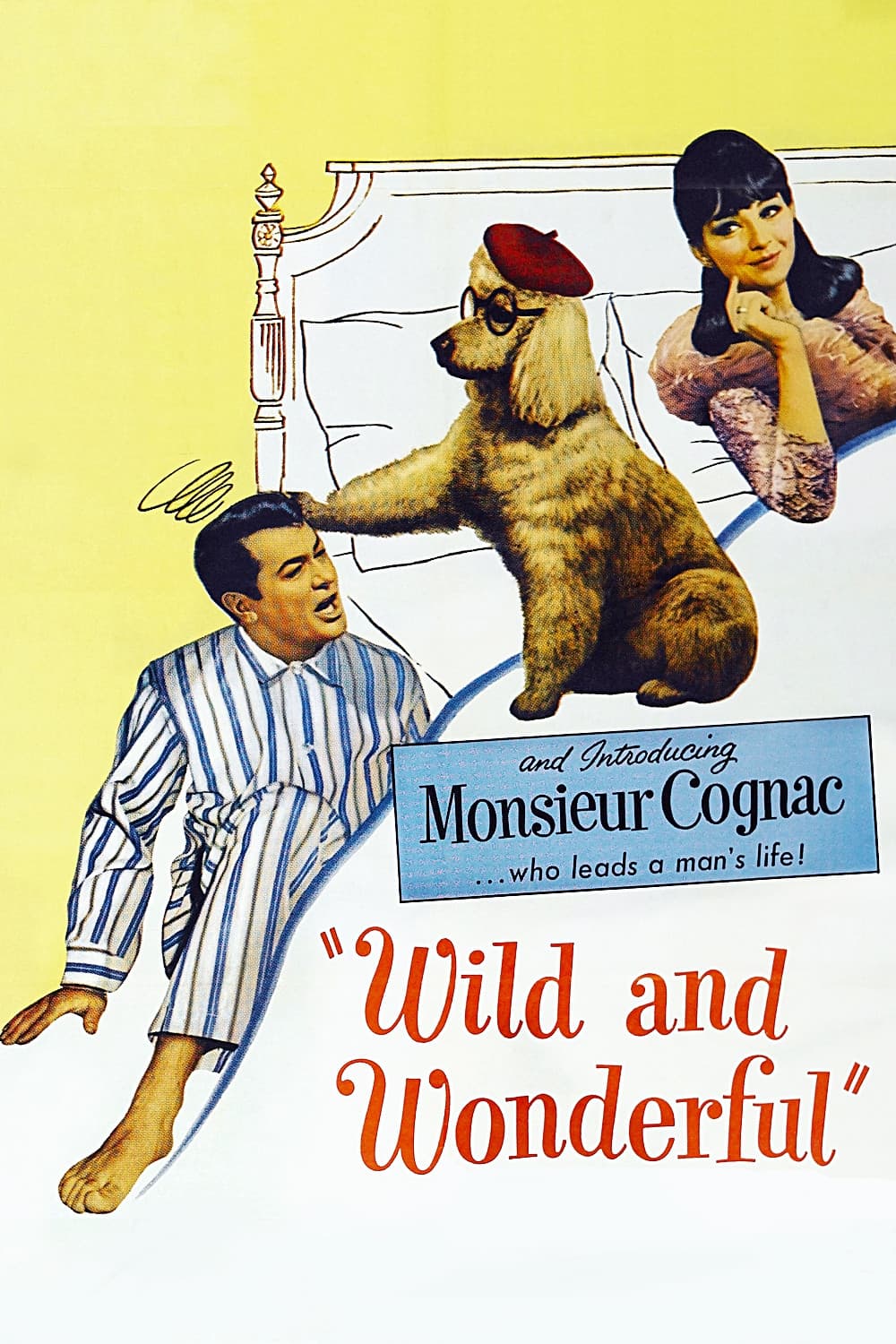 Poster di Monsieur Cognac