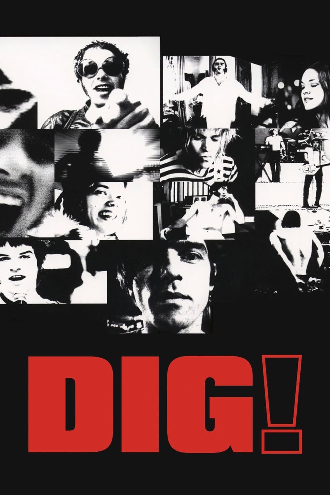 Poster di Dig!