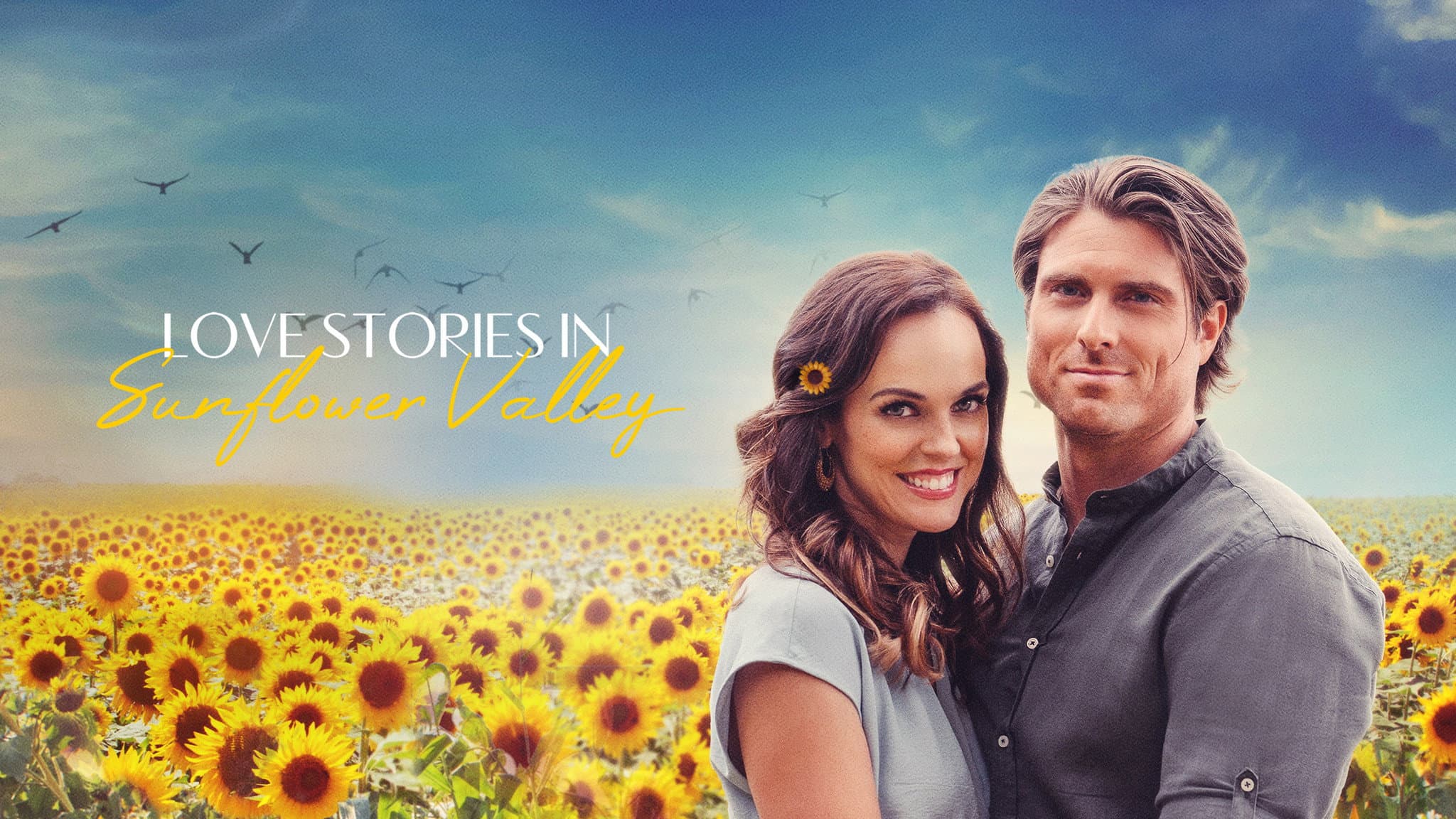 Un amore a Sunflower Valley - immagine